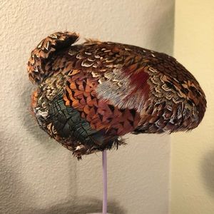 Vintage feather hat